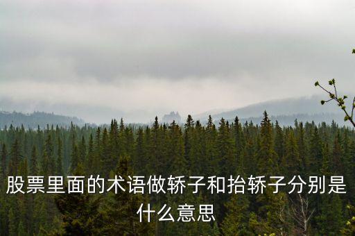股票里面的術語做轎子和抬轎子分別是什么意思