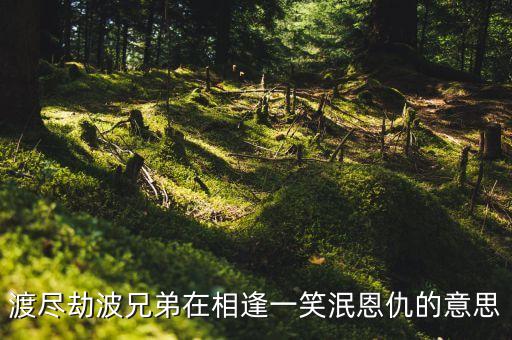 渡盡劫波兄弟在相逢一笑泯恩仇的意思