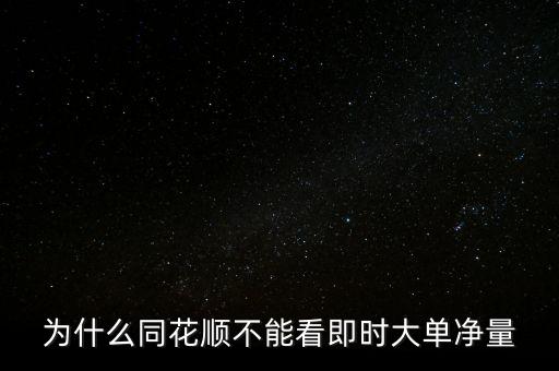 為什么同花順不能看即時大單凈量