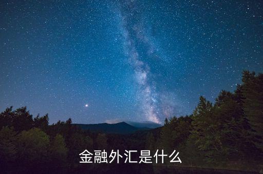 金融外匯是什么，金融如何理解 外匯是什么意思