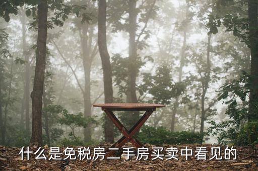 免稅房是什么意思，全產(chǎn)權(quán)免稅房是甚么意思