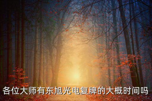 000413東旭光電什么時(shí)候上市，東旭光電何時(shí)復(fù)盤