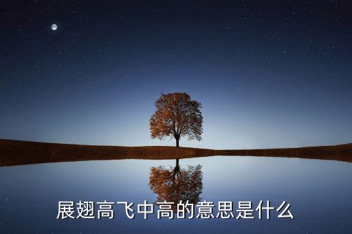 展翅高飛中高的意思是什么