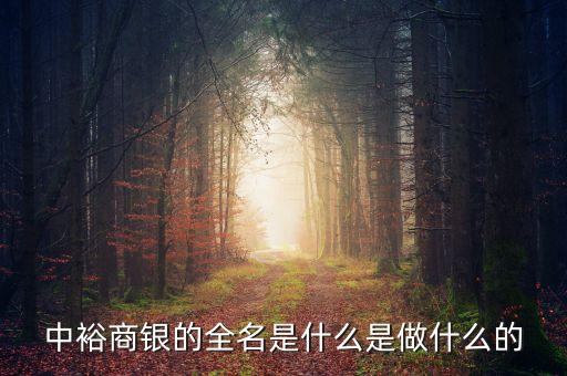 中裕商銀的全名是什么是做什么的