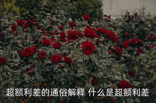 超額利差是什么，什么叫信用利差
