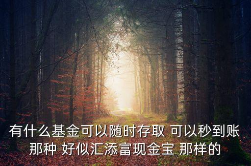 什么基金秒到，有什么基金可以隨時存取 可以秒到賬那種 好似匯添富現(xiàn)金寶 那樣的