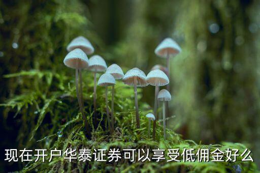 梧州華泰證券開戶有什么優(yōu)惠，華泰證券新辦股票開戶有什么優(yōu)惠嗎