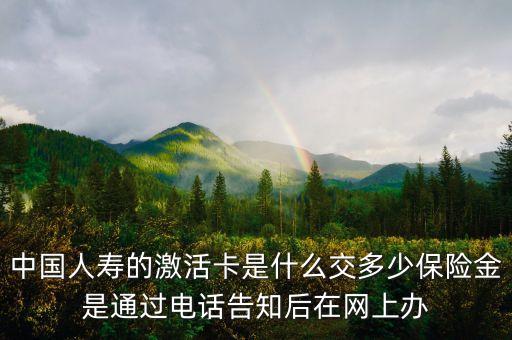 人壽e寶帳中的激活卡是什么意思，中國(guó)人壽的激活卡是什么交多少保險(xiǎn)金是通過(guò)電話告知后在網(wǎng)上辦