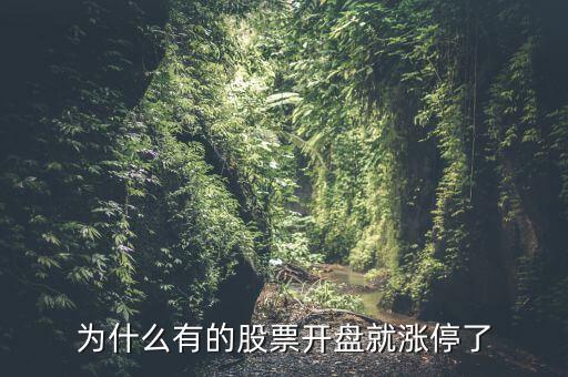 為什么有的股票開(kāi)盤就漲停了