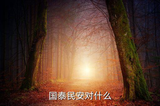 國泰民安是什么保險，國泰民安和國泰平安是一個意思嗎