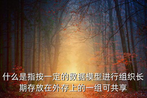 什么是長期數(shù)據(jù)，什么是指按一定的數(shù)據(jù)模型進(jìn)行組織長期存放在外存上的一組可共享