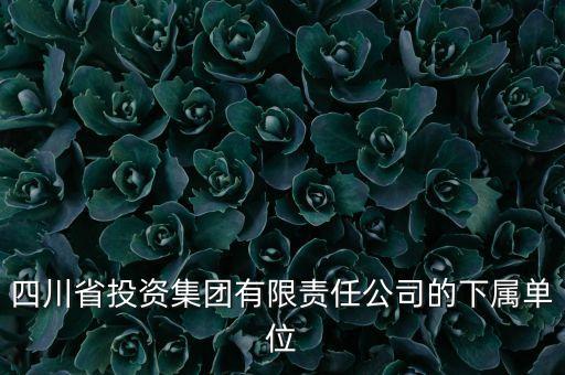 四川省投資集團有限責(zé)任公司的下屬單位