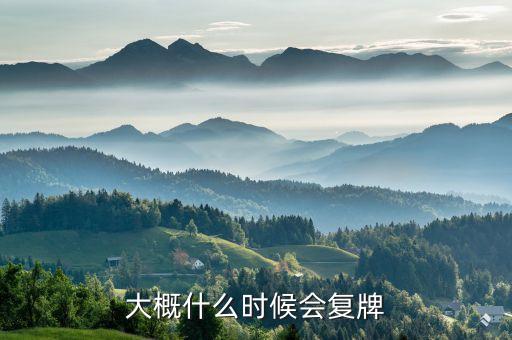 st舜船什么時(shí)候復(fù)牌，大概什么時(shí)候會(huì)復(fù)牌
