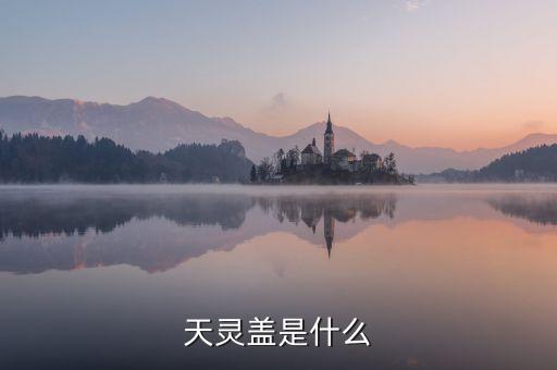 股票天靈蓋是什么，天靈蓋是什么