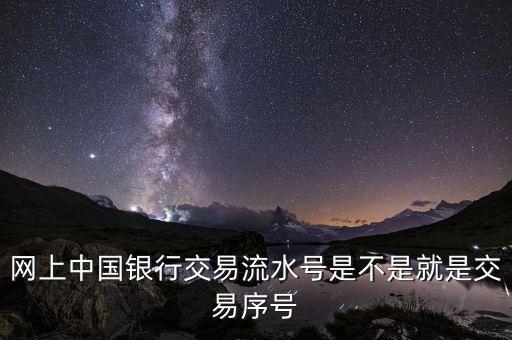 中國銀行企業(yè)網(wǎng)銀轉(zhuǎn)賬批次號什么意思，企業(yè)網(wǎng)銀客戶號是什么意思