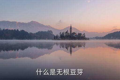 豆芽無根水是什么，請問做豆芽的無根劑是什么藥水做的有毒嗎無根劑是用什么化學(xué)物做的
