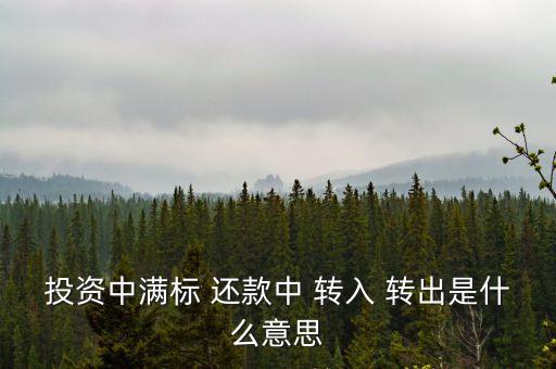 什么是轉(zhuǎn)出投資，投資中滿標(biāo) 還款中 轉(zhuǎn)入 轉(zhuǎn)出是什么意思