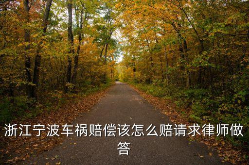 浙江寧波車(chē)禍賠償該怎么賠請(qǐng)求律師做答