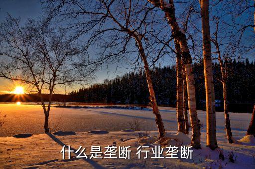 什么是壟斷 行業(yè)壟斷