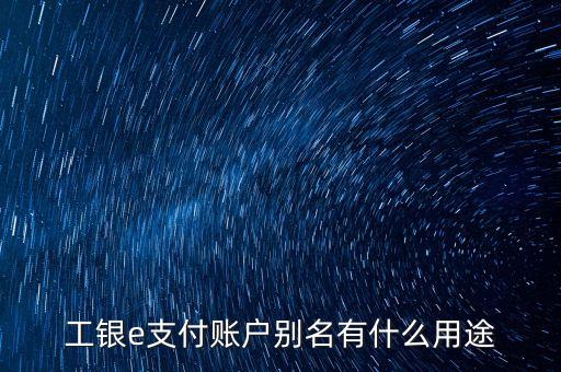 工行e支付別名是什么意思，工行e支付別名是中文還是其他