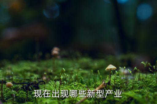 現(xiàn)在出現(xiàn)哪些新型產(chǎn)業(yè)