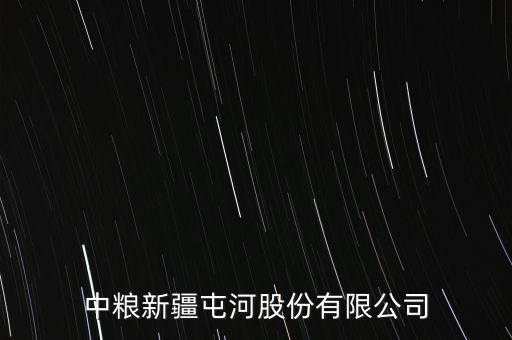 中糧新疆屯河股份有限公司