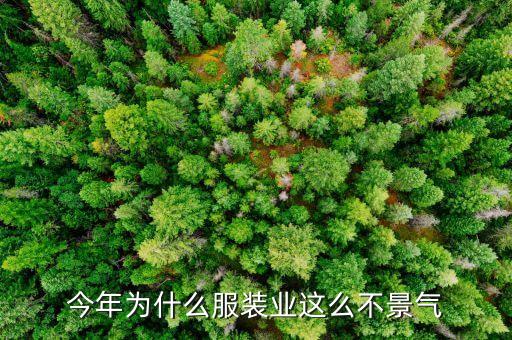 服裝業(yè)為什么不景氣，現(xiàn)在服裝企業(yè)為什么這么不景氣