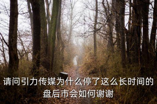 請問引力傳媒為什么停了這么長時間的盤后市會如何謝謝
