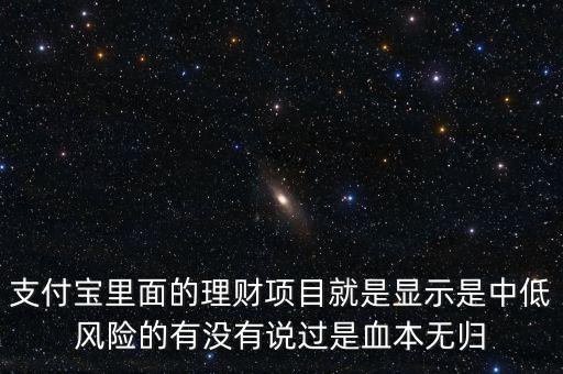 支付寶里面的理財(cái)項(xiàng)目就是顯示是中低風(fēng)險(xiǎn)的有沒有說過是血本無歸