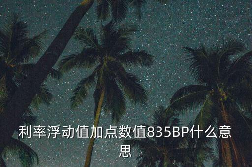 利率加點(diǎn)什么意思，貸款利率定價方式中加點(diǎn)幅度是什么意思