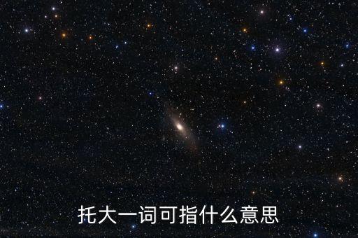 托大一詞可指什么意思