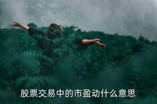 股票交易中的市盈動什么意思