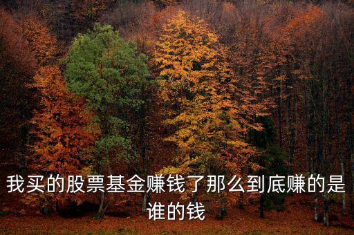 我買的股票基金賺錢了那么到底賺的是誰的錢