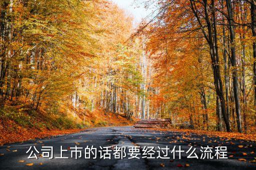 公司上市的話都要經(jīng)過什么流程
