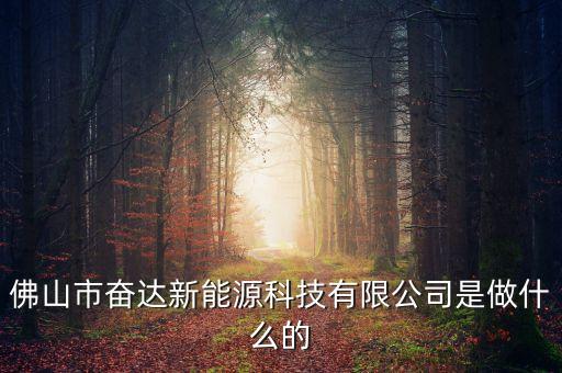 佛山市奮達(dá)新能源科技有限公司是做什么的