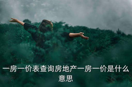 房?jī)r(jià)表查什么網(wǎng)，怎樣在網(wǎng)上查各樓盤售樓價(jià)格明細(xì)