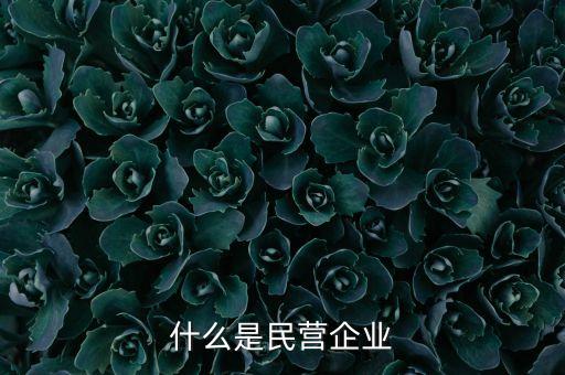 什么是民營企業(yè)