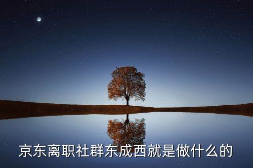 京東離職社群東成西就是做什么的