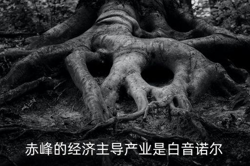 赤峰的經(jīng)濟主導(dǎo)產(chǎn)業(yè)是白音諾爾