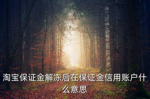 淘寶保證金解凍后在保證金信用賬戶什么意思