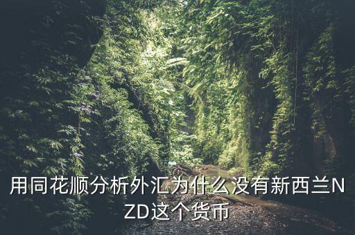 nzd是什么幣種，外匯中各國幣種的字母簡寫