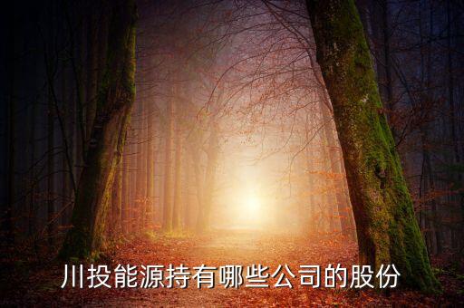 川投集團(tuán)是什么單位，四川投資集團(tuán)川投怎么樣