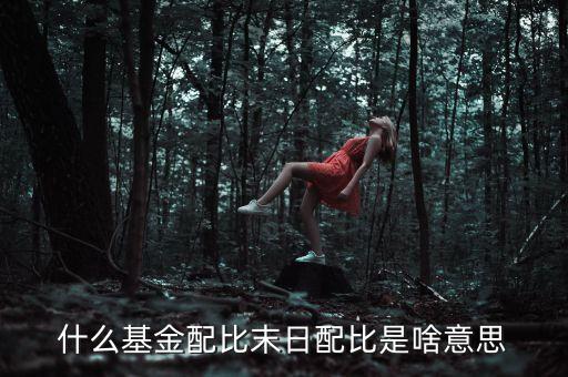 資金配比是什么意思，請(qǐng)問這個(gè)基金的配比是什么意思其他的也是股票嗎