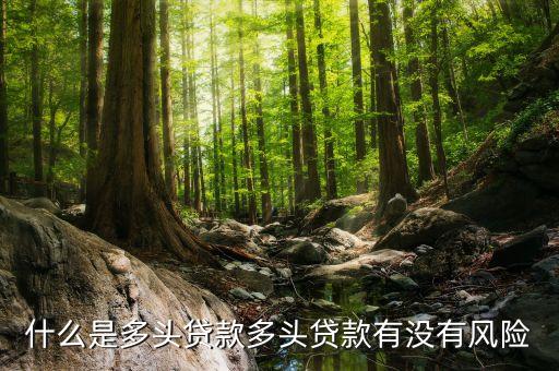 什么是多頭貸款多頭貸款有沒(méi)有風(fēng)險(xiǎn)