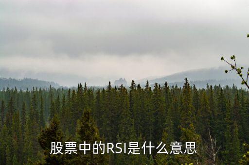rsi股票里指什么，股票中的RSI是什么意思