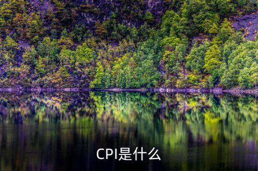 CPI是什么