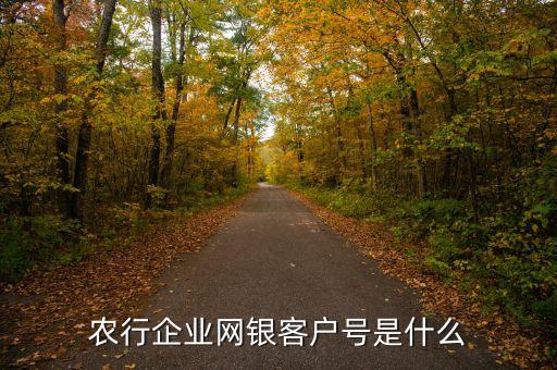 農(nóng)行企業(yè)網(wǎng)銀客戶號是什么