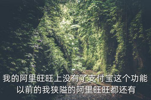 阿里上市為什么沒有支付寶，阿里巴巴創(chuàng)立初期沒支付寶如何解決支付問題的