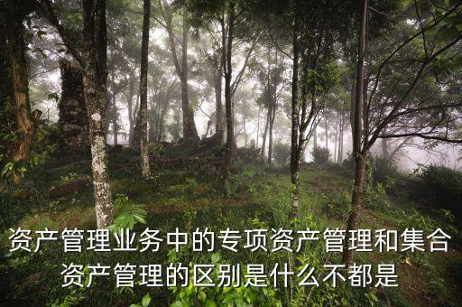 資產(chǎn)管理業(yè)務(wù)中的專項(xiàng)資產(chǎn)管理和集合資產(chǎn)管理的區(qū)別是什么不都是