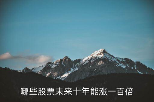 哪些股票未來十年能漲一百倍
